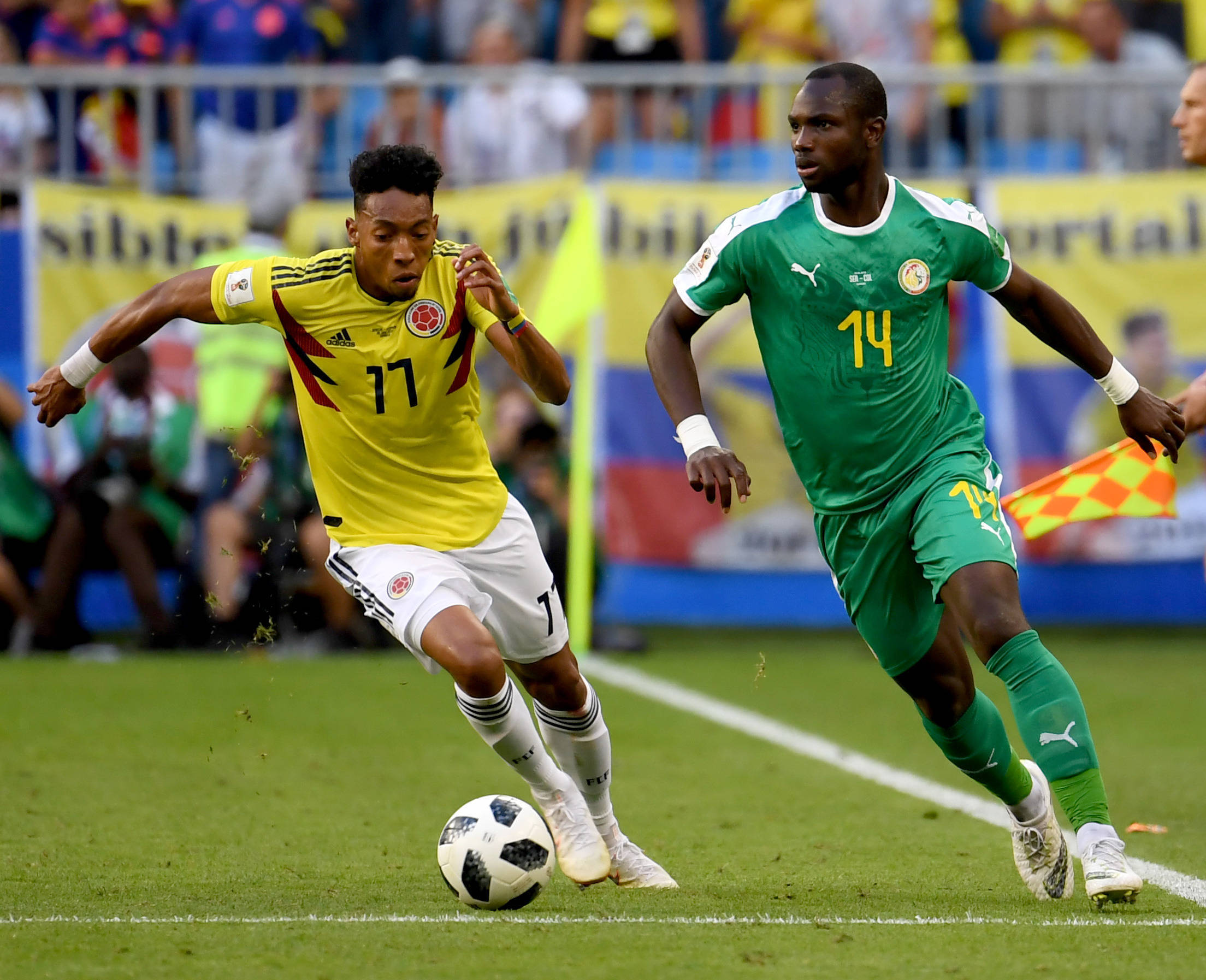 的热切关注 的热切关注